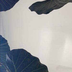 Meet your Posher, Caitlynn